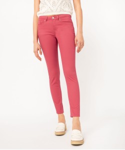 17RAMBY rose