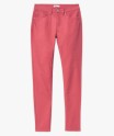 17RAMBY rose