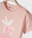X53WEATI rose