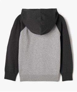 36VEALSA gris