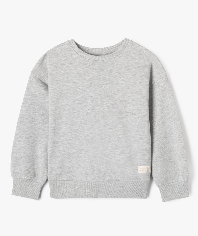 36WADANT gris