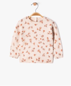 53VEFOLI rose