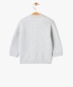 54RAC gris