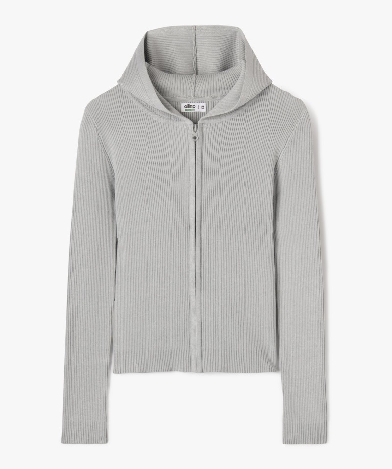 24VAVAT gris
