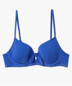 65REQUIN1 bleu