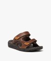 20TARRA marron