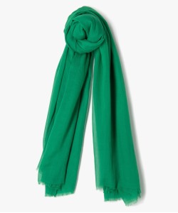 61RIETE VERT