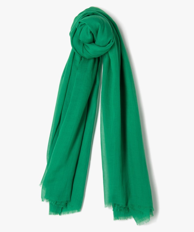 61RIETE VERT