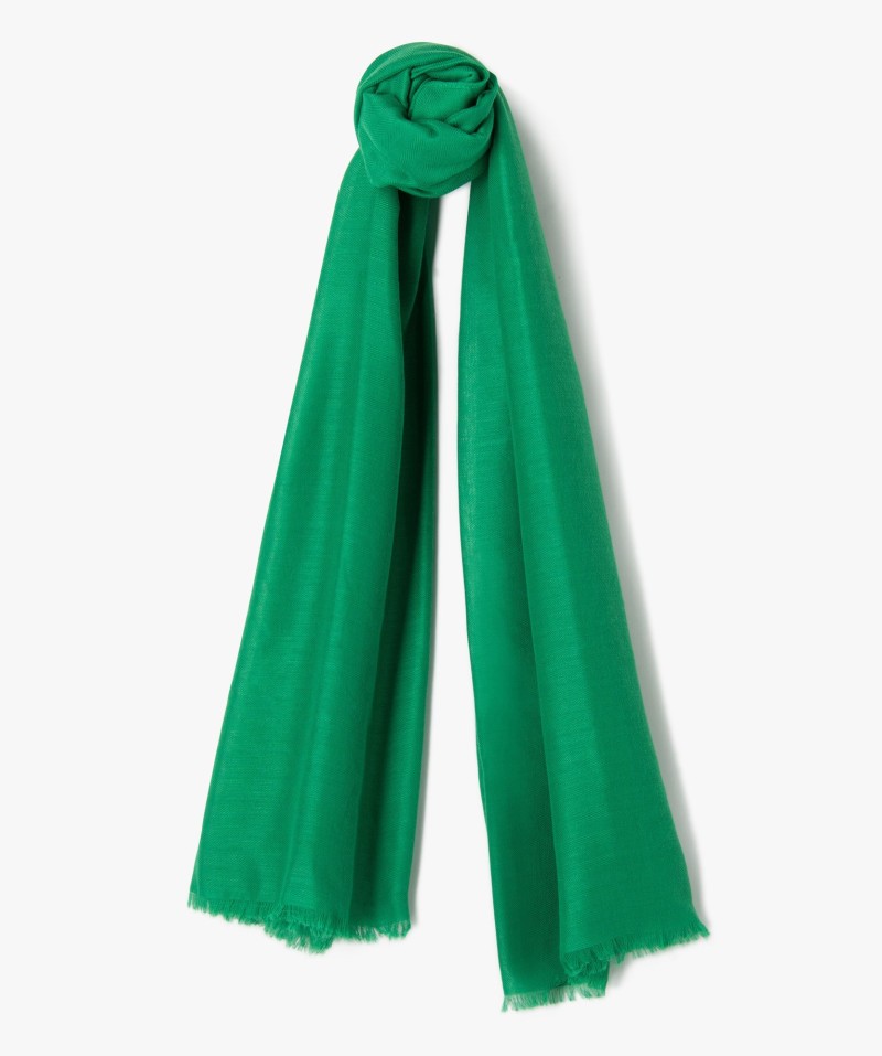 61RALERYS VERT