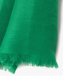 61RALERYS VERT