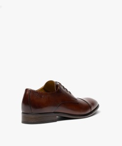 DERBY HOC CEJUK MARRON FO