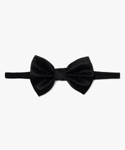 N¿UD PAPILLON GAS 40CEICHA NOIR